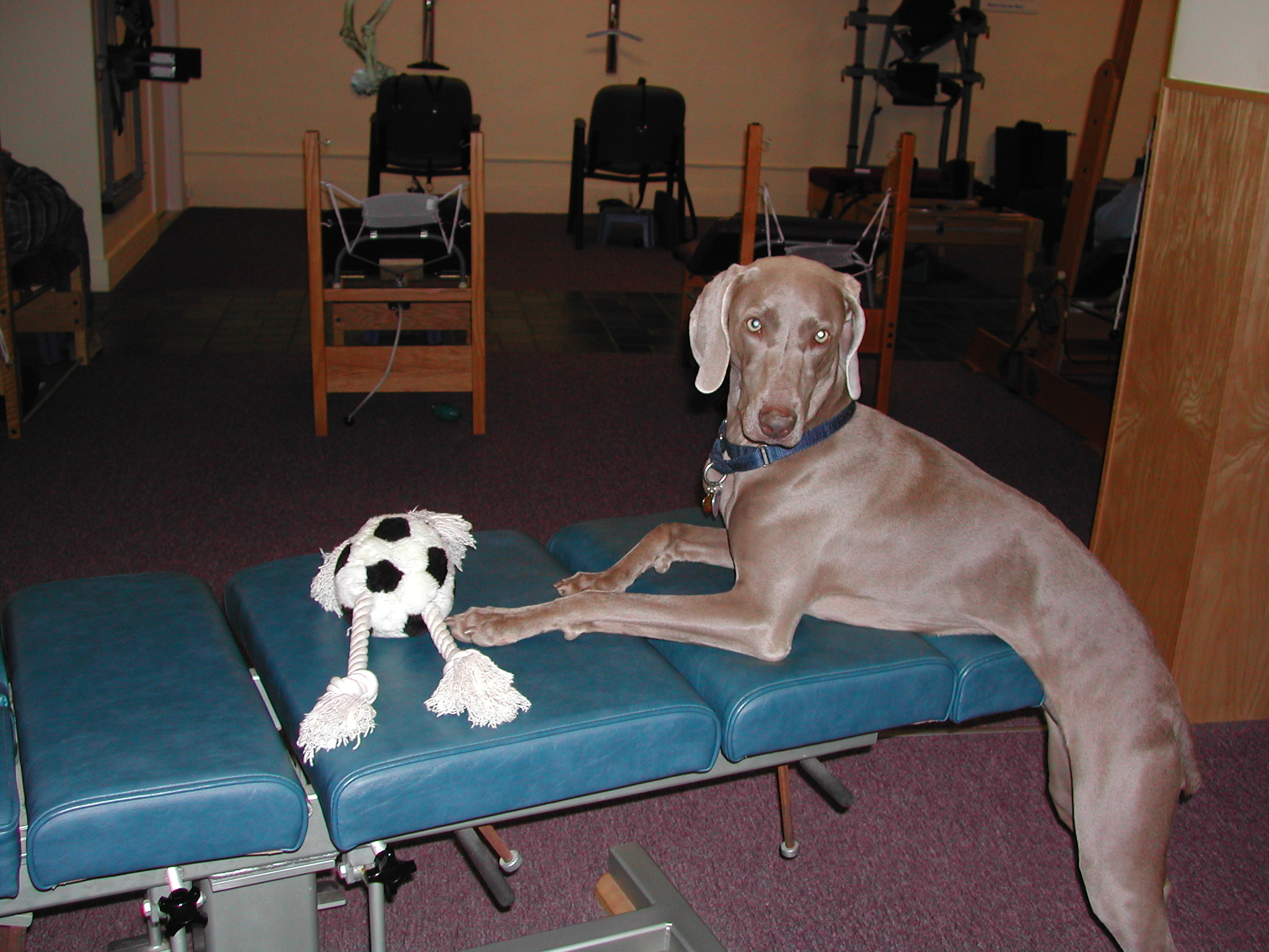 Advanced Family Chiropractic Dr. Robert Berry